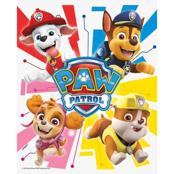 Paw Patrol Loot Bags, 8ct