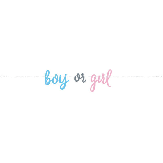 Gender Reveal Banner, Blue or Pink  7ft