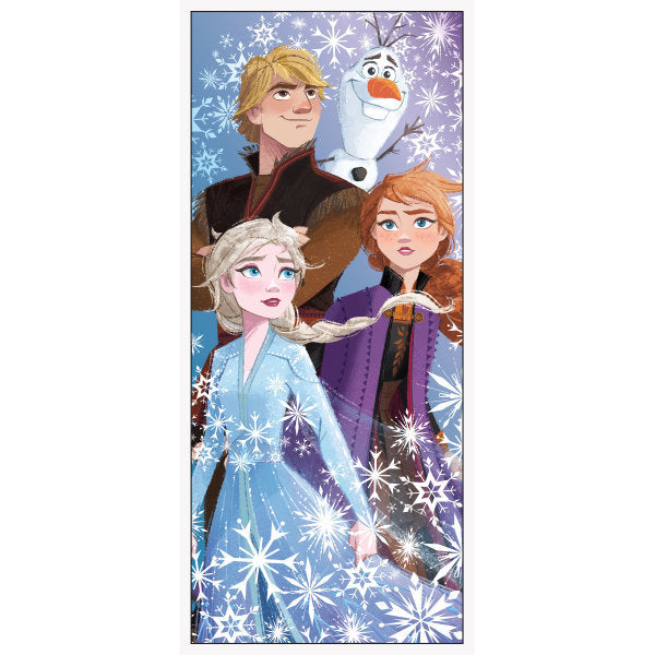 Disney Frozen 2 Door Poster, 27"x60"